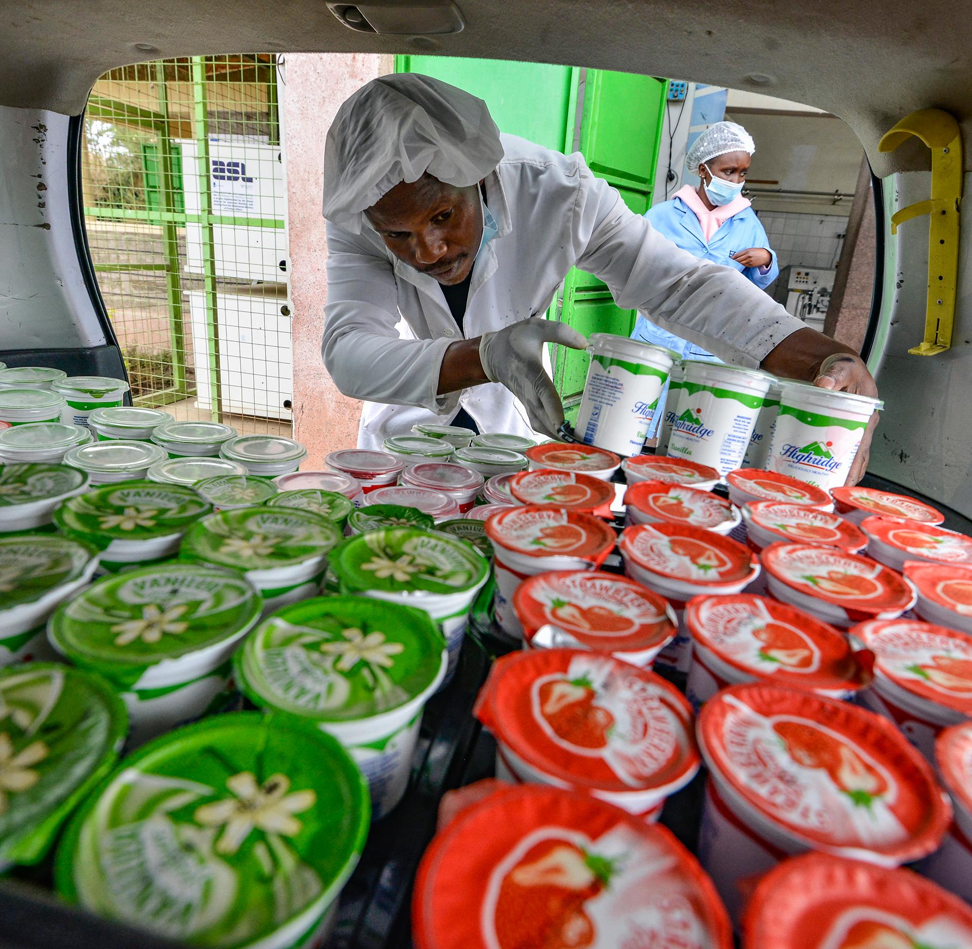 Picture of the author