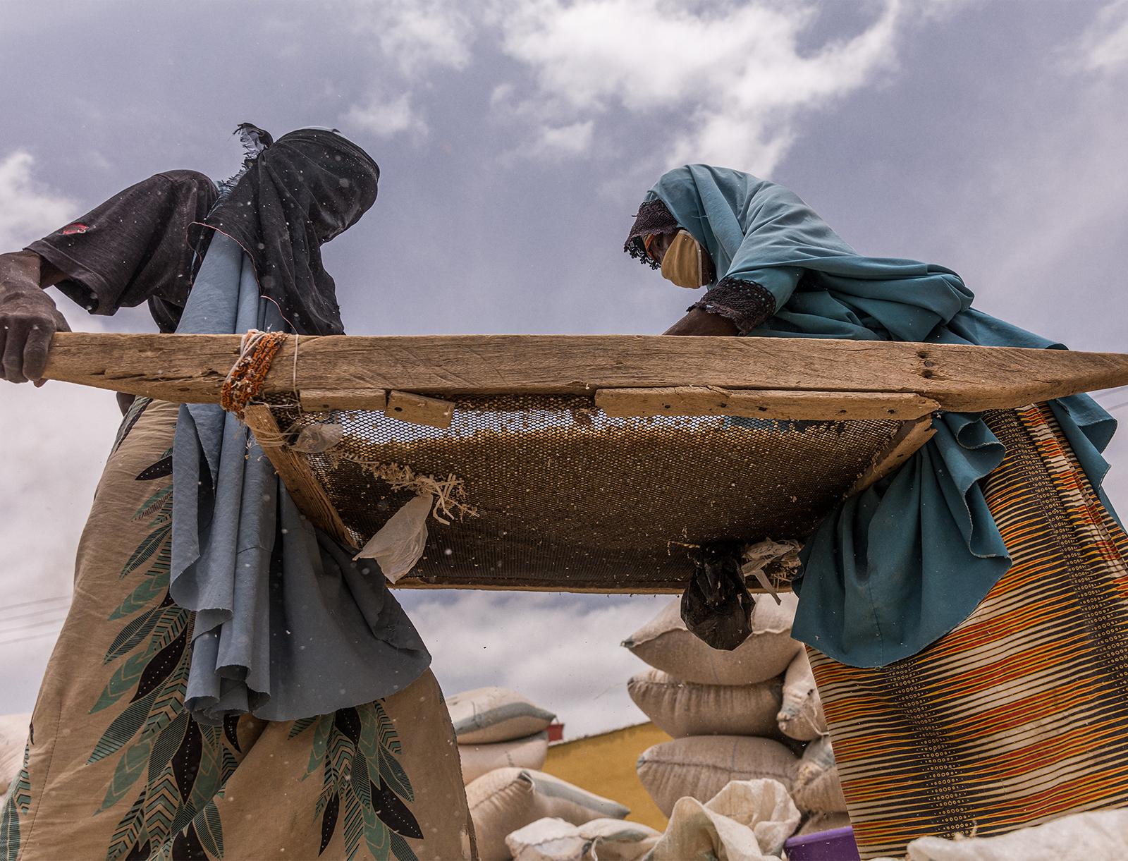 Picture of the author