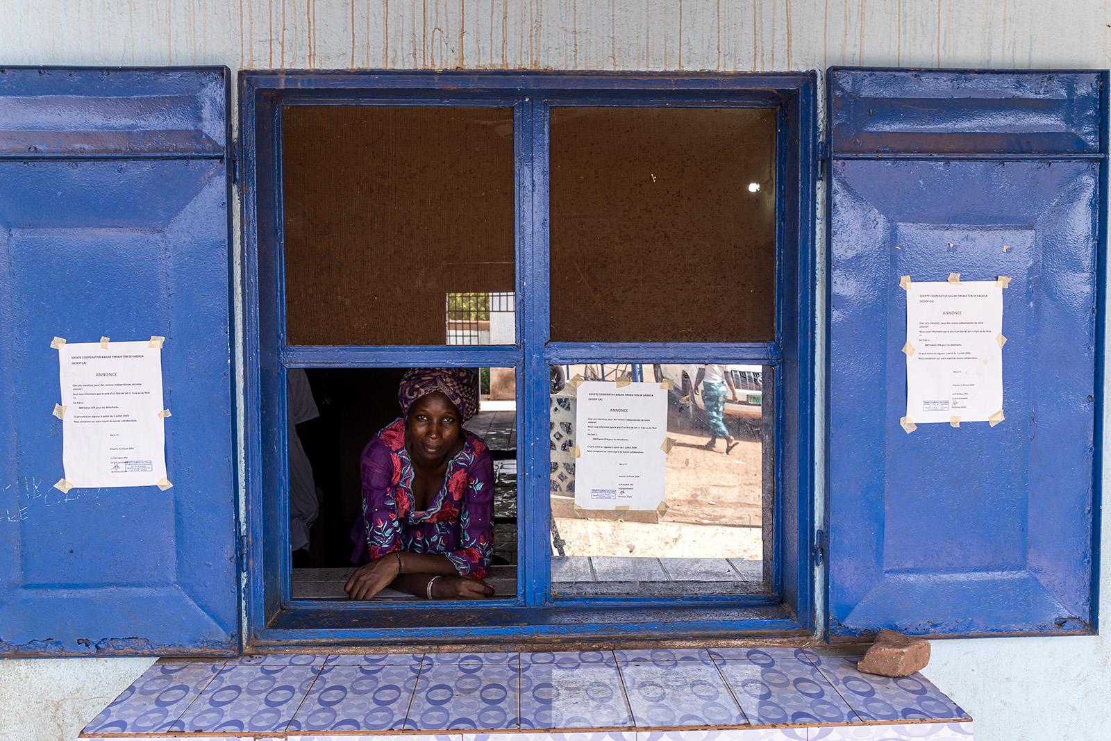 Picture of the author