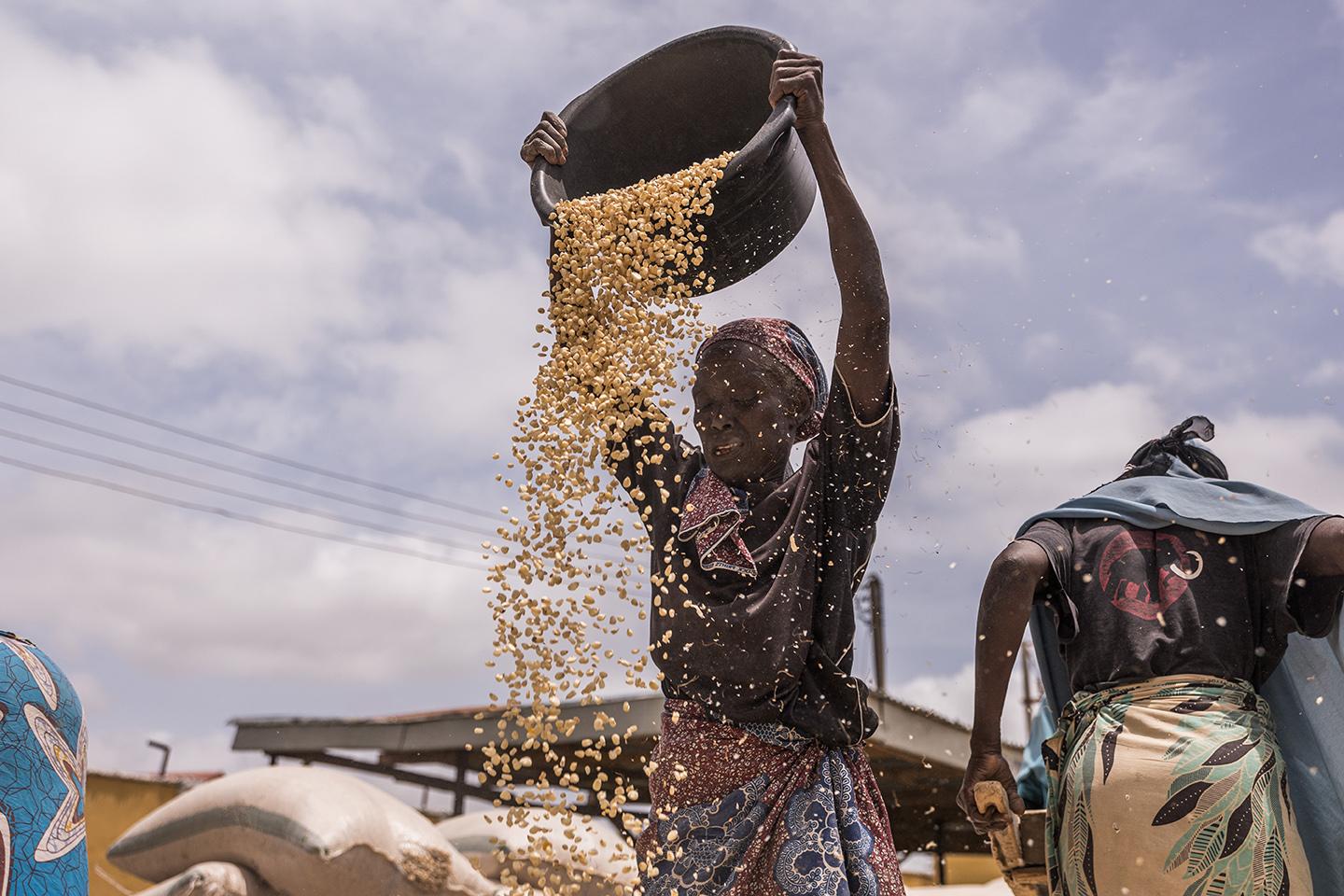 Picture of the author