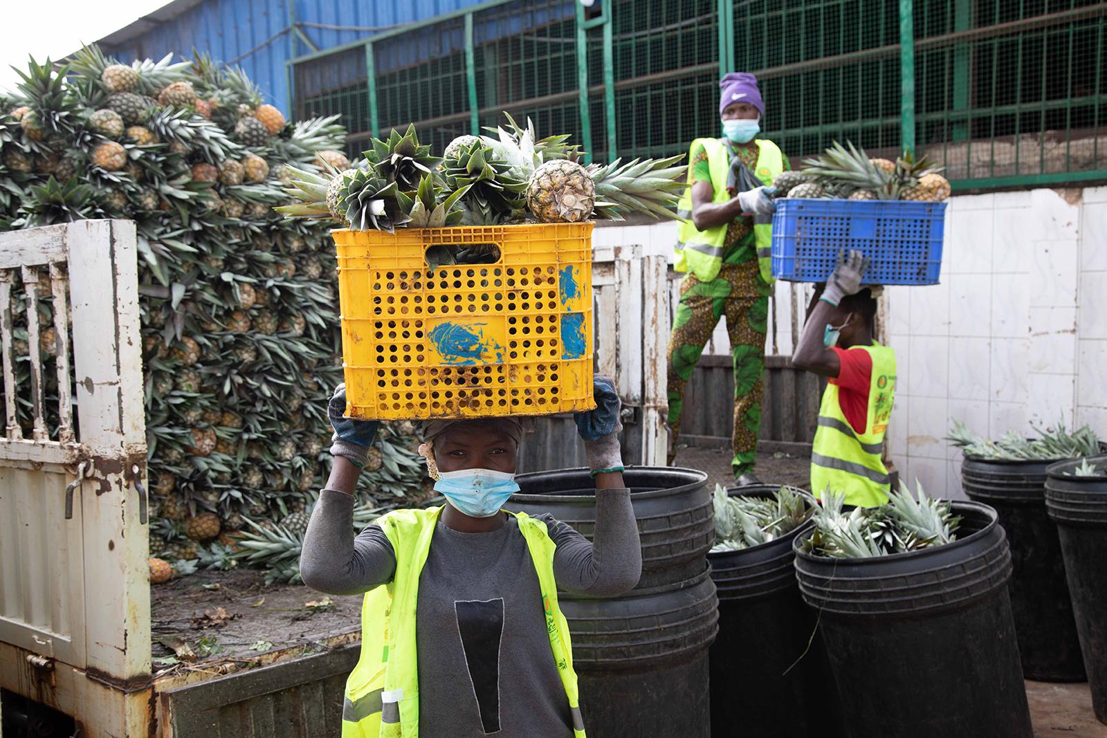 Picture of the author