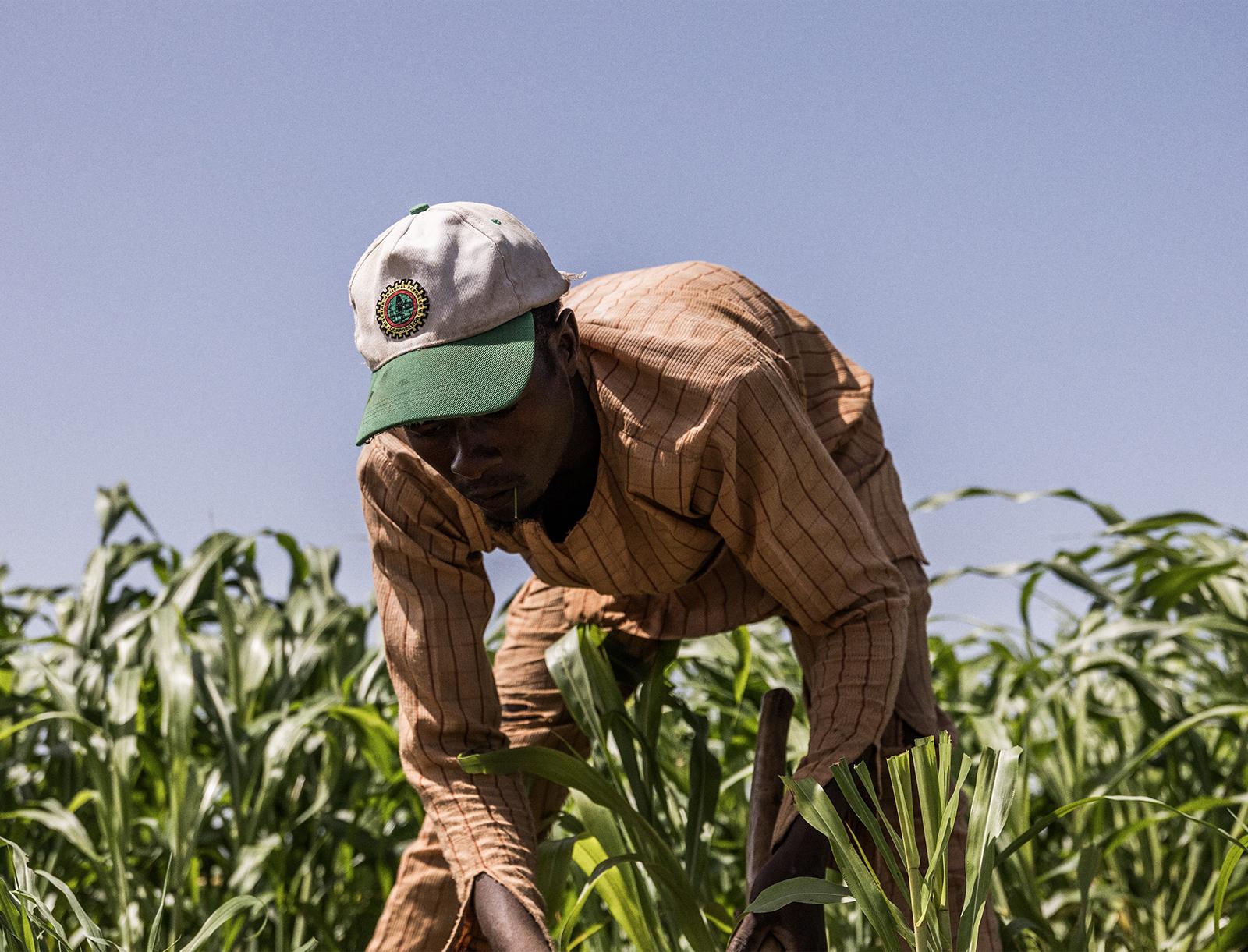 Picture of the author