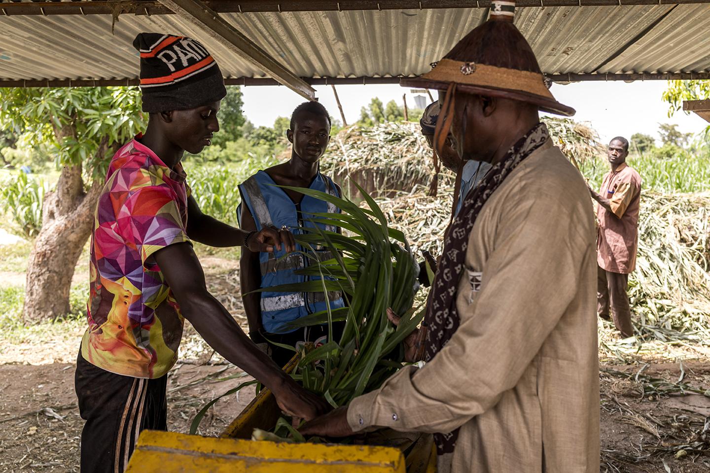 Picture of the author